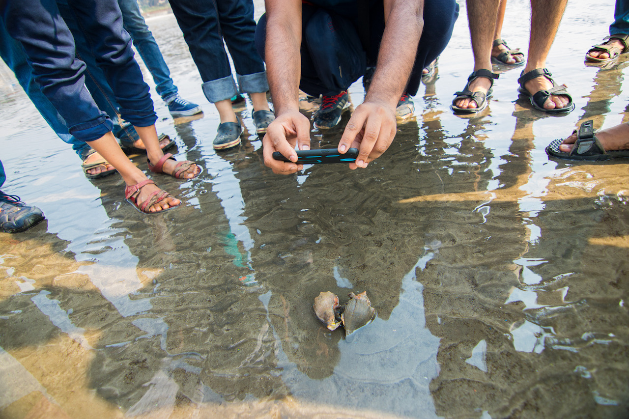 a-growing-inaturalist-community-in-mumbai-documents-their-beach-finds